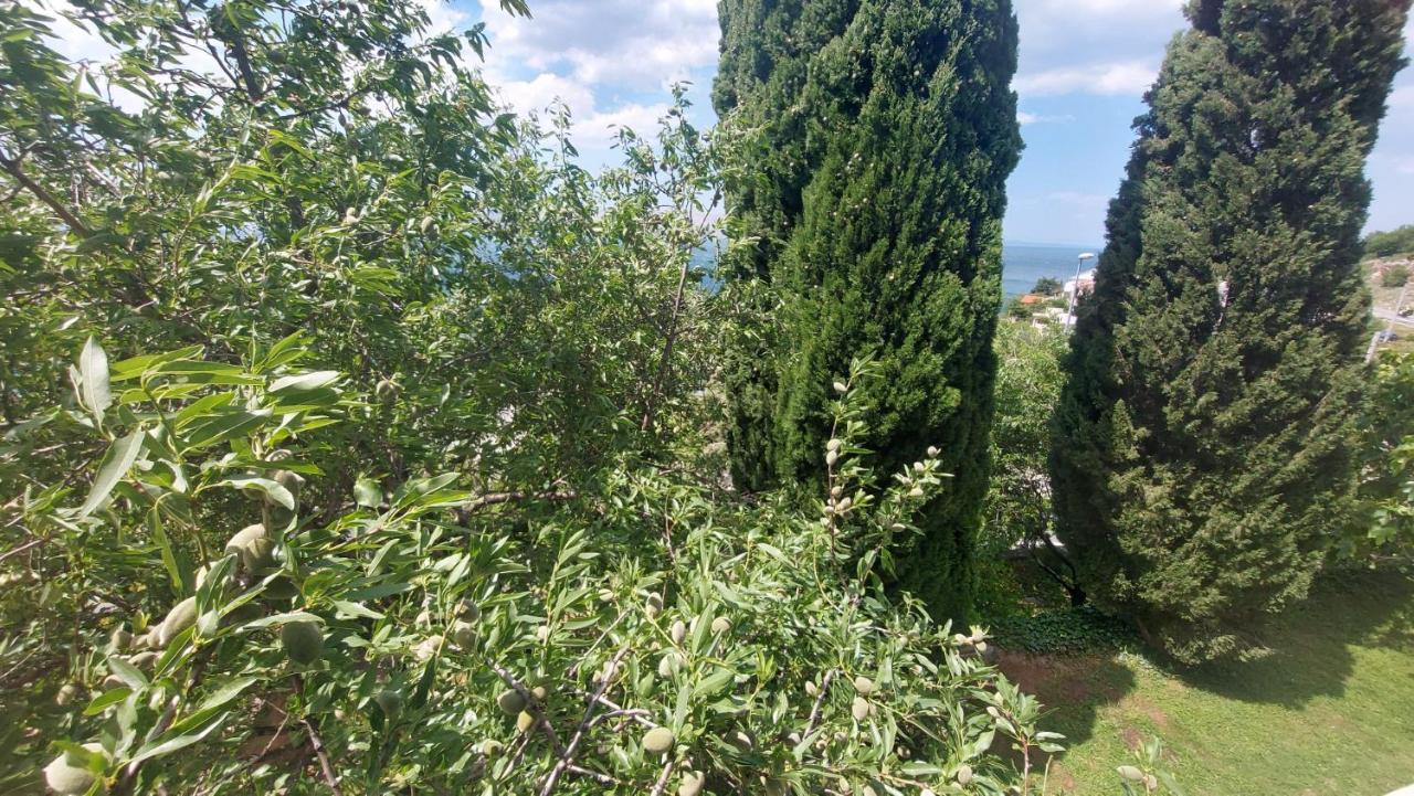 Corina & Franco Apartman Zengg Kültér fotó